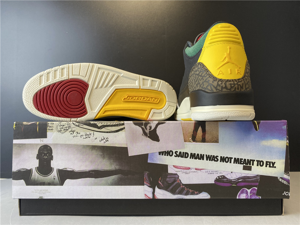 Air Jordan 3 Retro SE Animal Instinct 2.0 CV3583-003