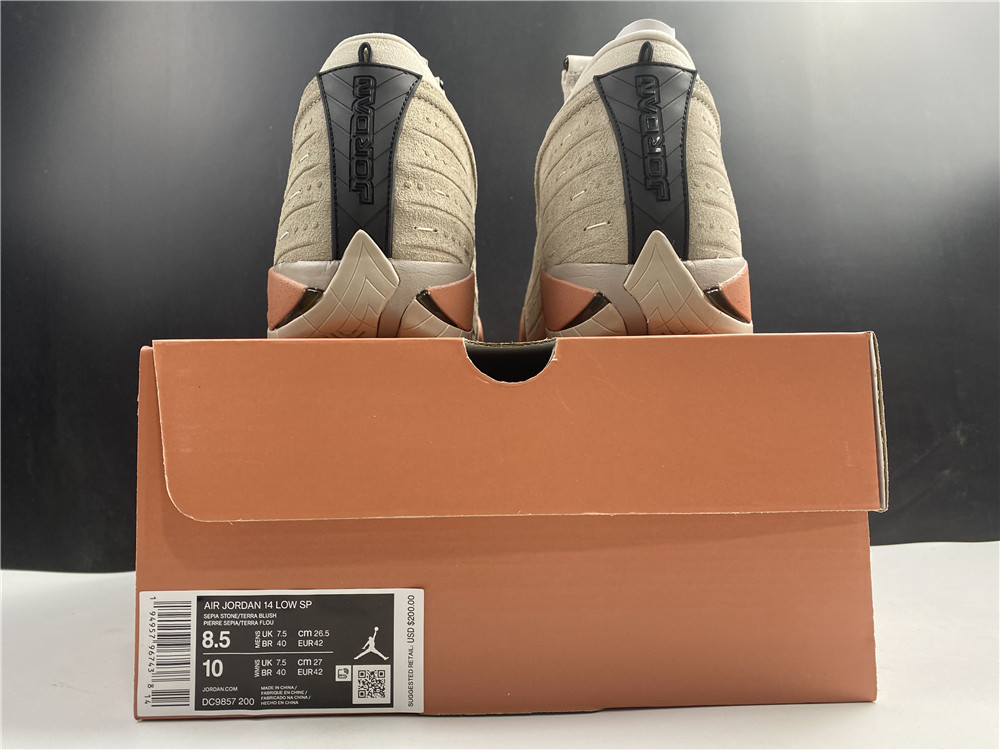 Air Jordan 14 Retro Low Clot Terra Blush DC9857-200