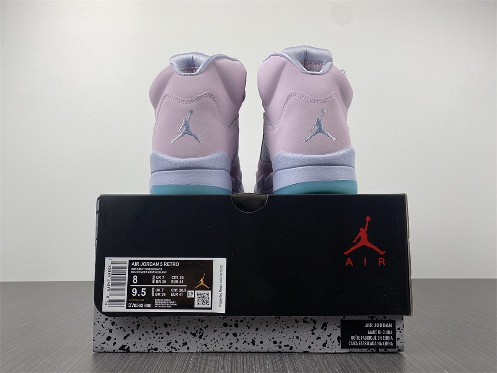 Air Jordan 5  DV0562-600