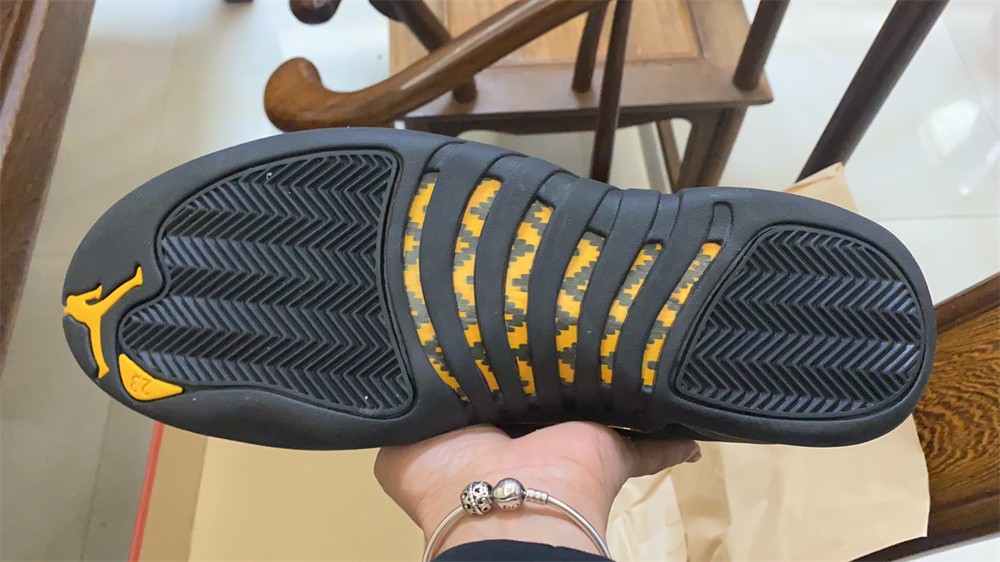 Air Jordan 12 Black Taxi CT8013-071