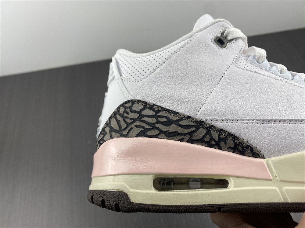 Nike Air Jordan 3 Retro Neapolitan Dark Mocha CK9246-102