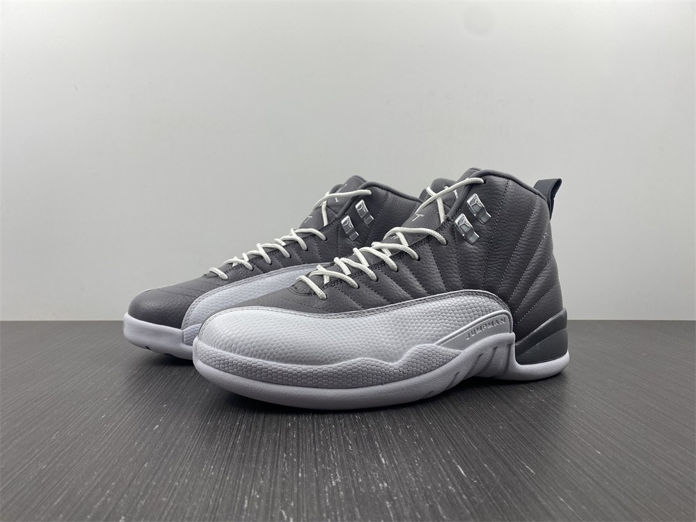 Air Jordan 12 STEALTH CT8025-610