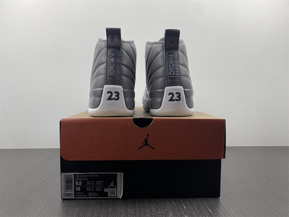 Air Jordan 12 STEALTH  CT8025-610