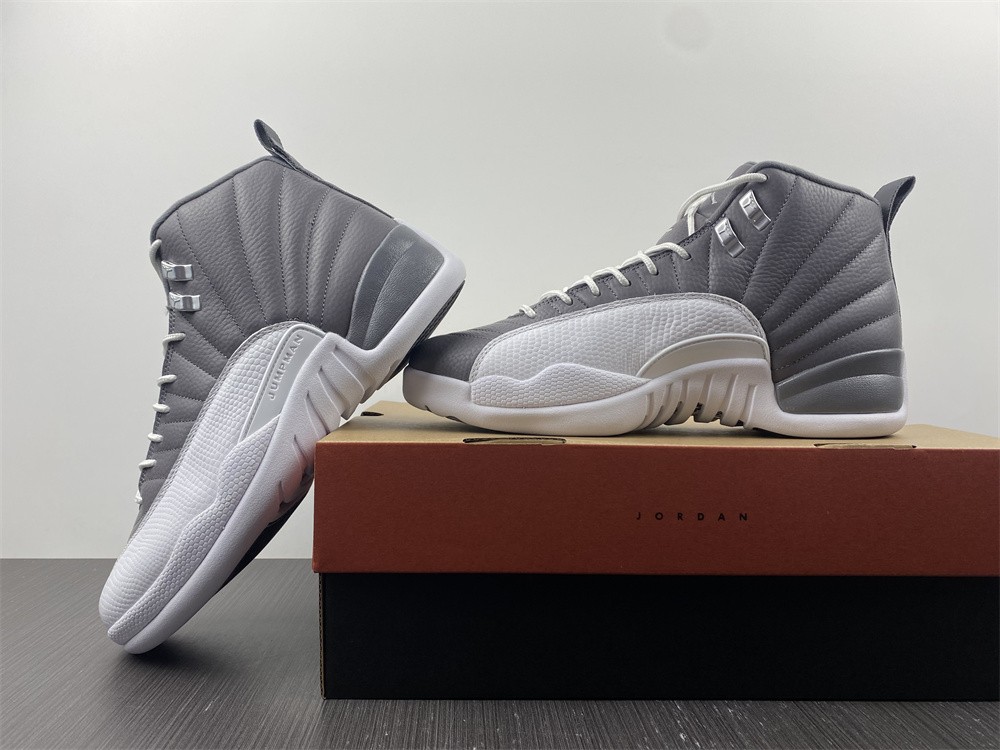 Air Jordan 12 STEALTH  CT8025-610