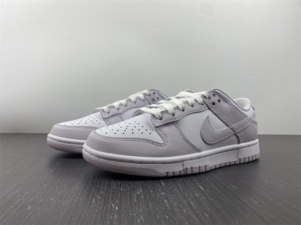 Nike Dunk Low Venice (W) DD1503-116