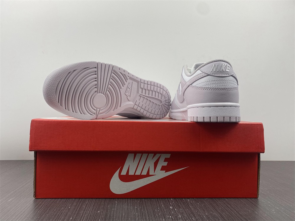 Nike Dunk Low Venice (W)  DD1503-116