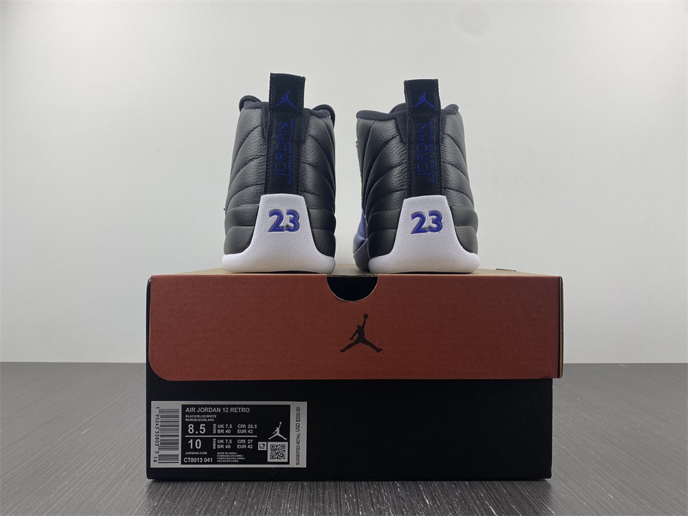 AIR JORDAN 12 blue
