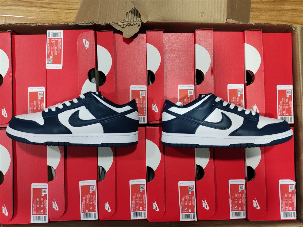 Nike Dunk Low Valerian Blue  DD1391-400