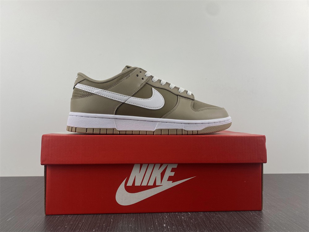 Nike Dunk Low Judge Grey  DJ6188-200