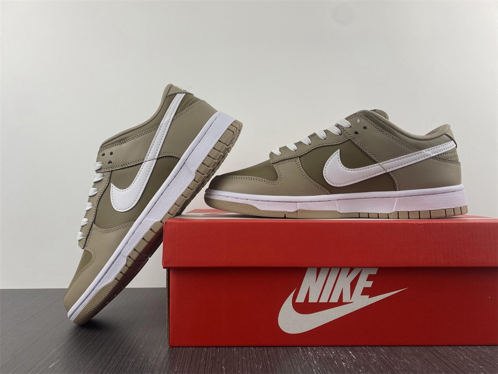 Nike Dunk Low Judge Grey  DJ6188-200