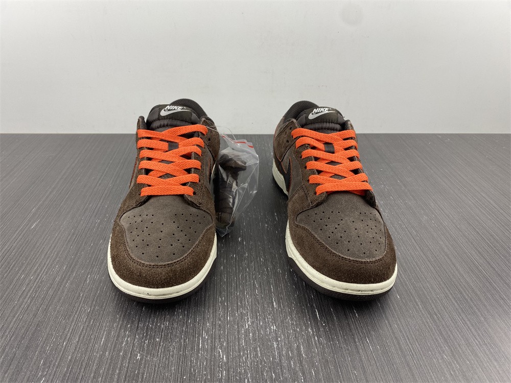 Dunk Low Retro brown DQ8801-200