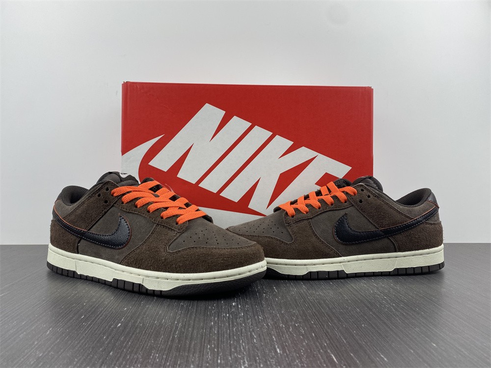 Dunk Low Retro brown DQ8801-200