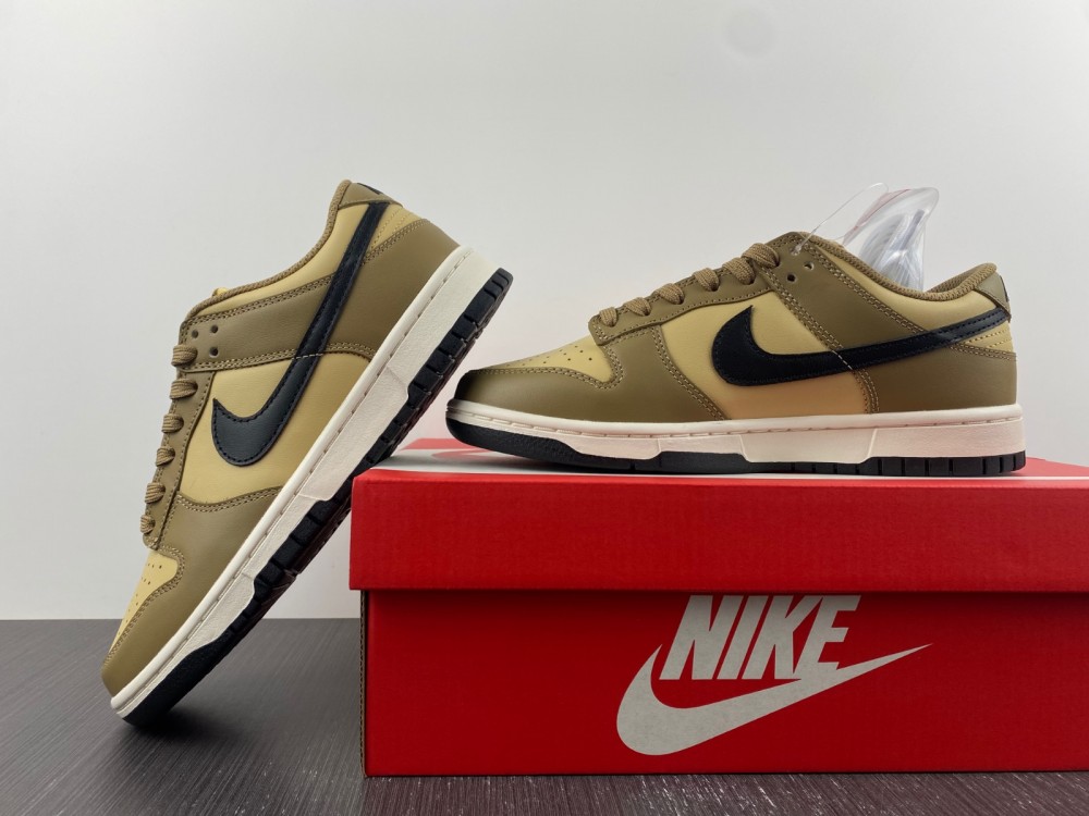 Nike Dunk Low Dark Driftwood   DD1503-200