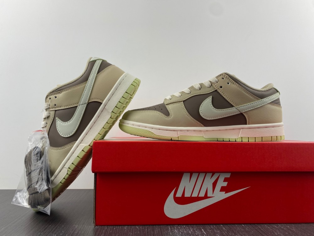 Dunk SB Low FB4961-012