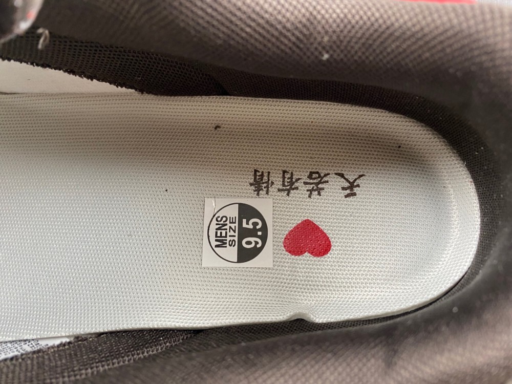 Dunk SB Low Suziki RE500-666