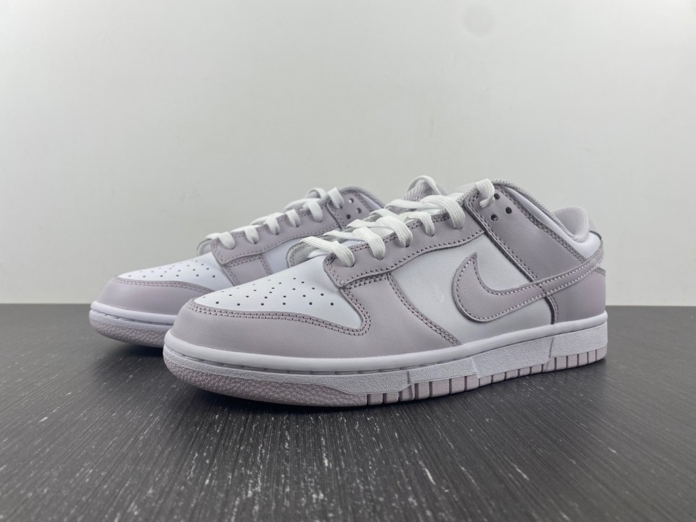 Nike Dunk Low Venice DD1503-116