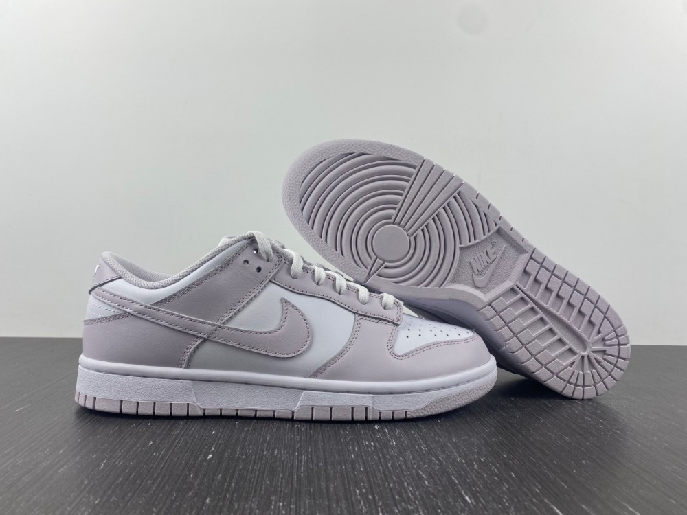 Nike Dunk Low Venice DD1503-116