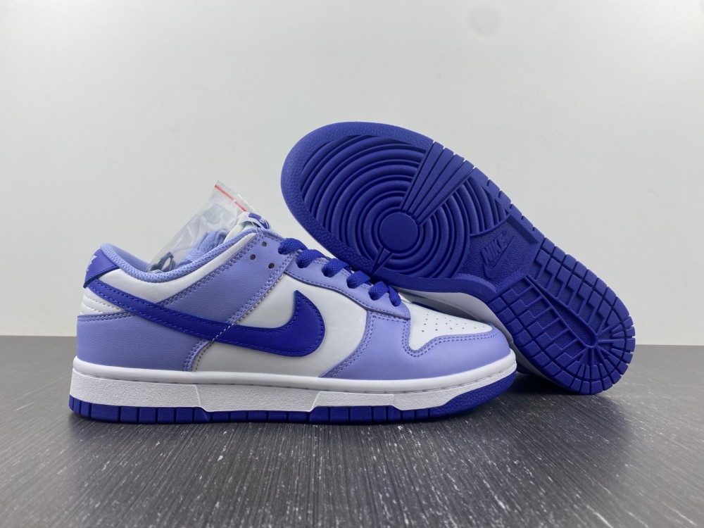 Nike Dunk Low Blueberry DZ4456-100