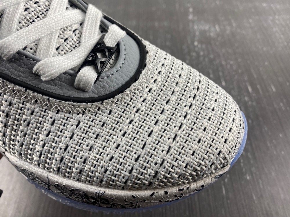 Nike Lebron 20 The Debut DJ5423-100