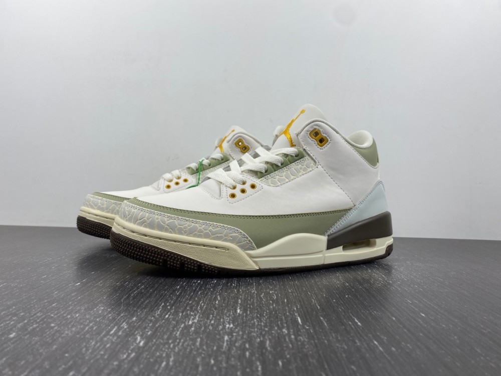 Nike Air Jordan 3 white green DX6660-800