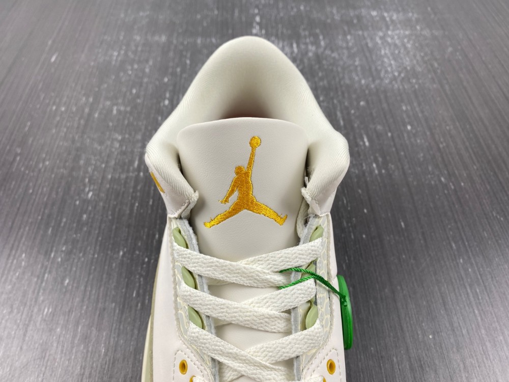 Nike Air Jordan 3 white green DX6660-800