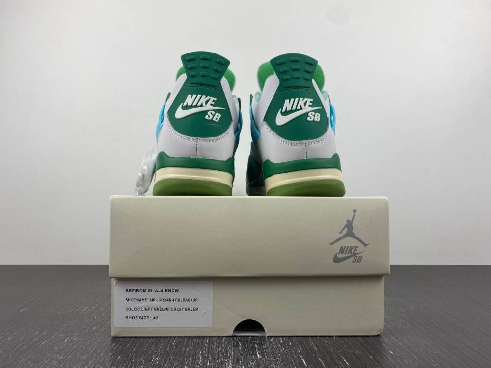 Nike Air Jordan 4 PE SB AJ4-KNCW