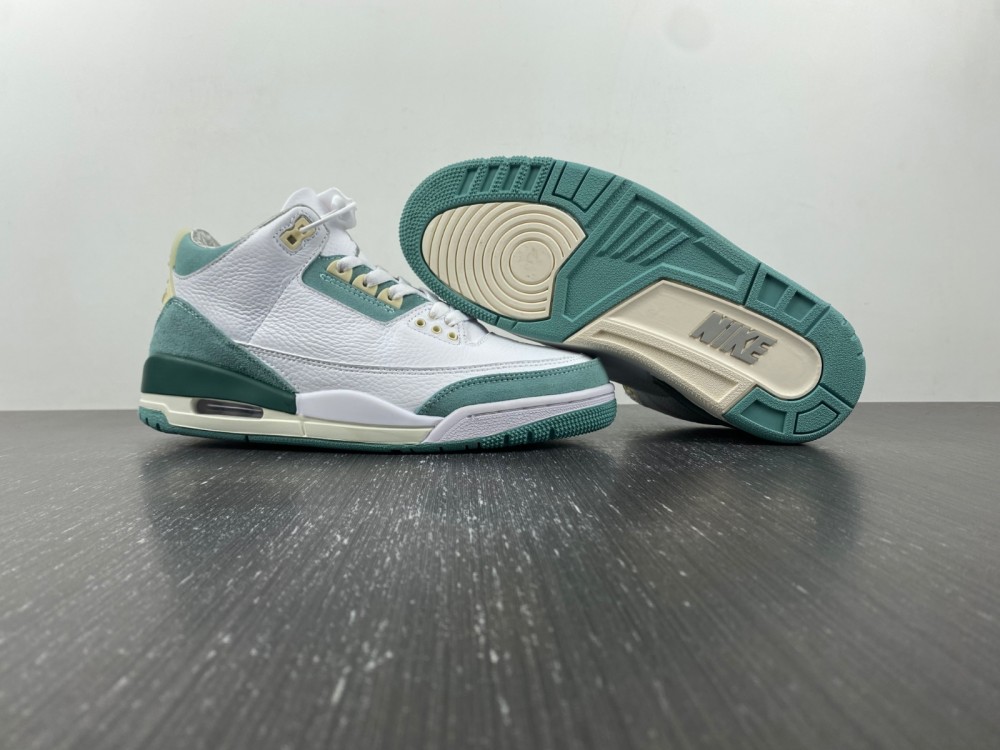Nike Air Jordan 3 DT8532-130