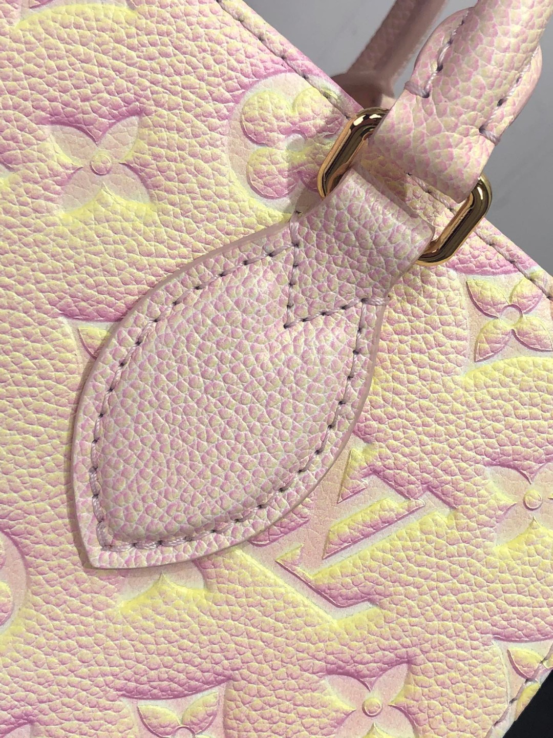 LsVttn ONTHEGO PM M46168