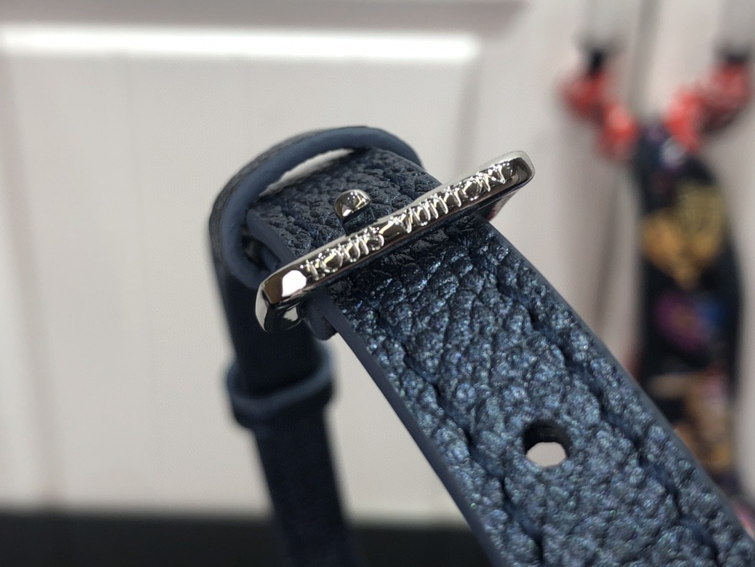 LsVttn ONTHEGO PM M45653