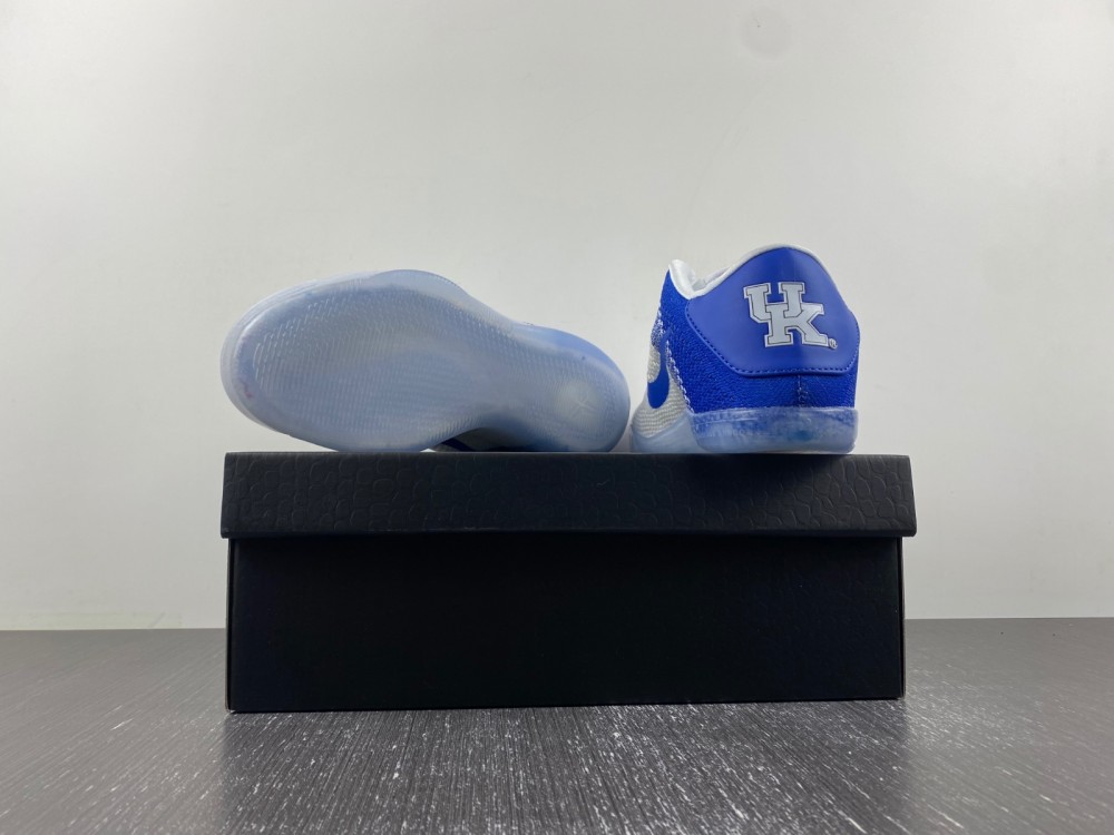 Nike Zoom Kobe 11 822675-185