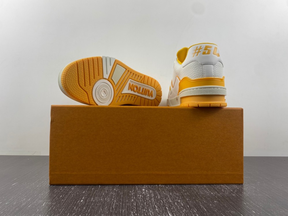 Louis Vuitton LV trainer