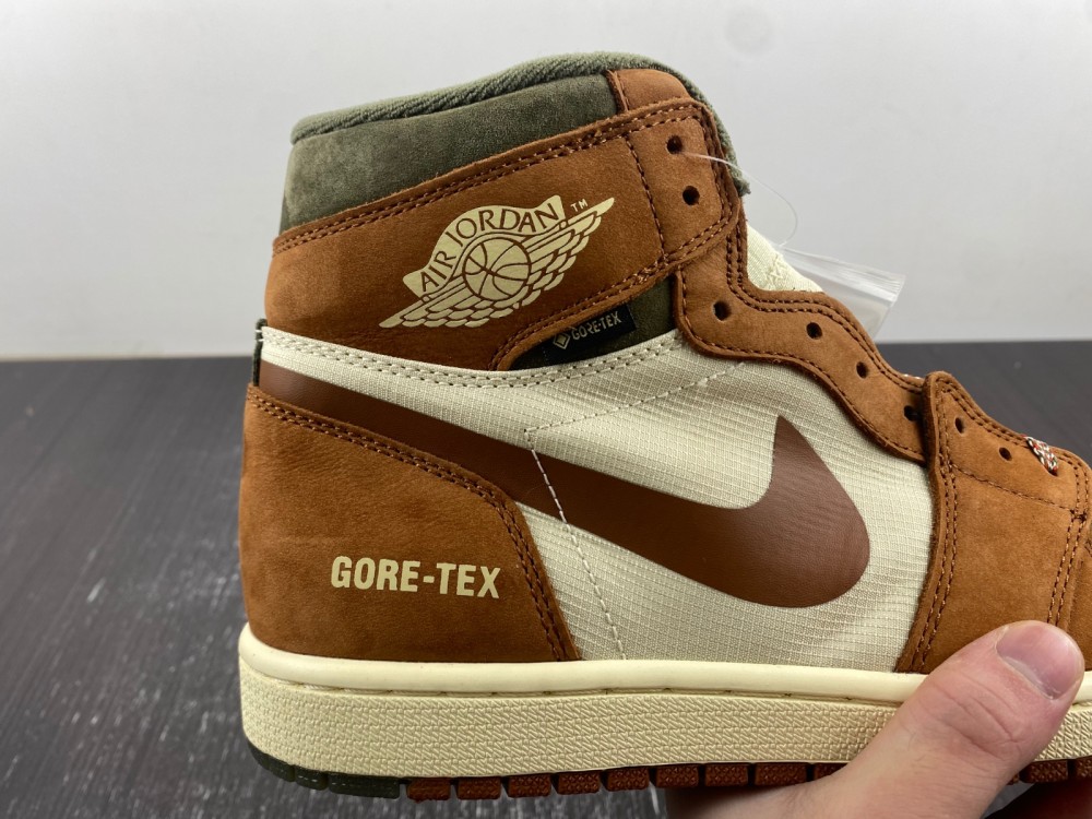Air Jordan 1Gore-Tex Jordan 1 High DB2889-100