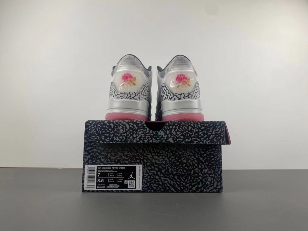 Air Jordan 3 “Wings” HM6993-100