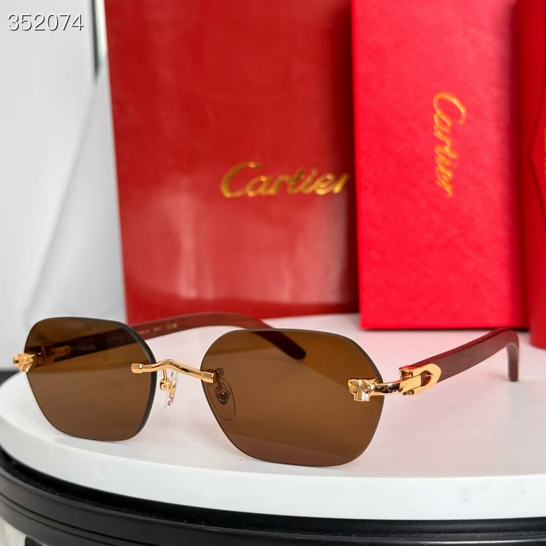 CARTIER sunglasses CT 0611