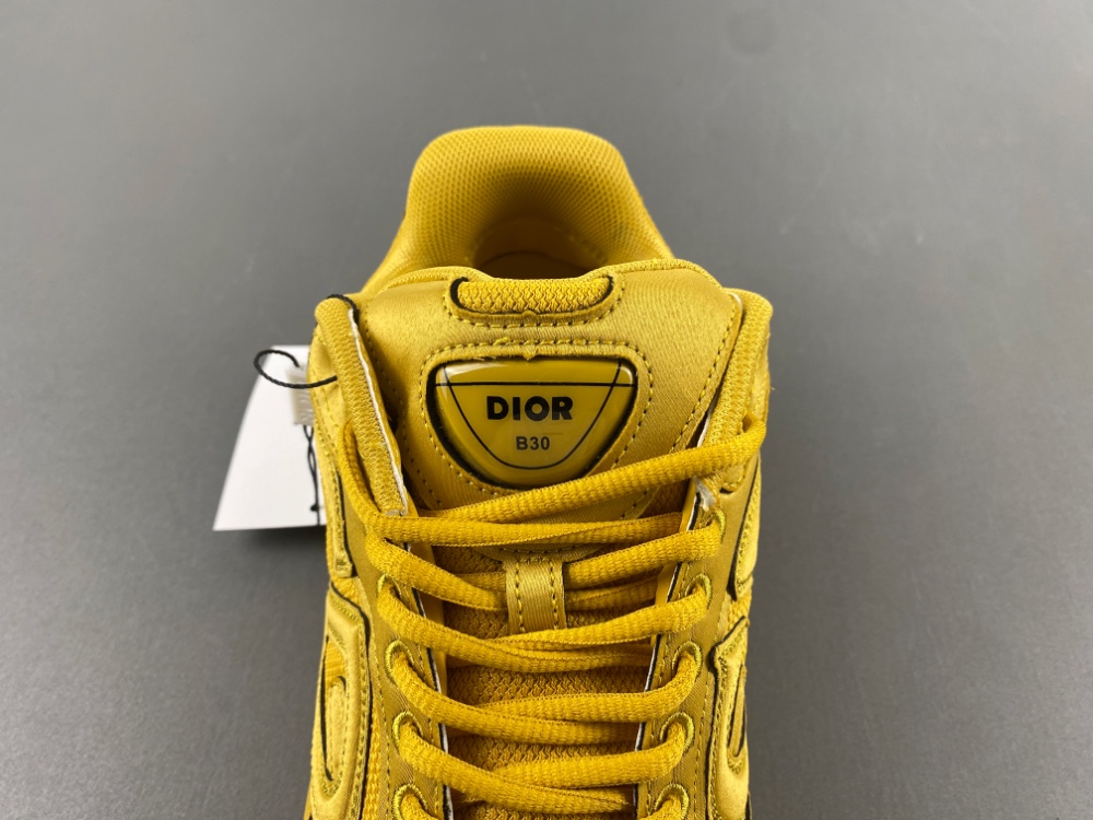 Christian Dior yellow 3SN279ZAN H557