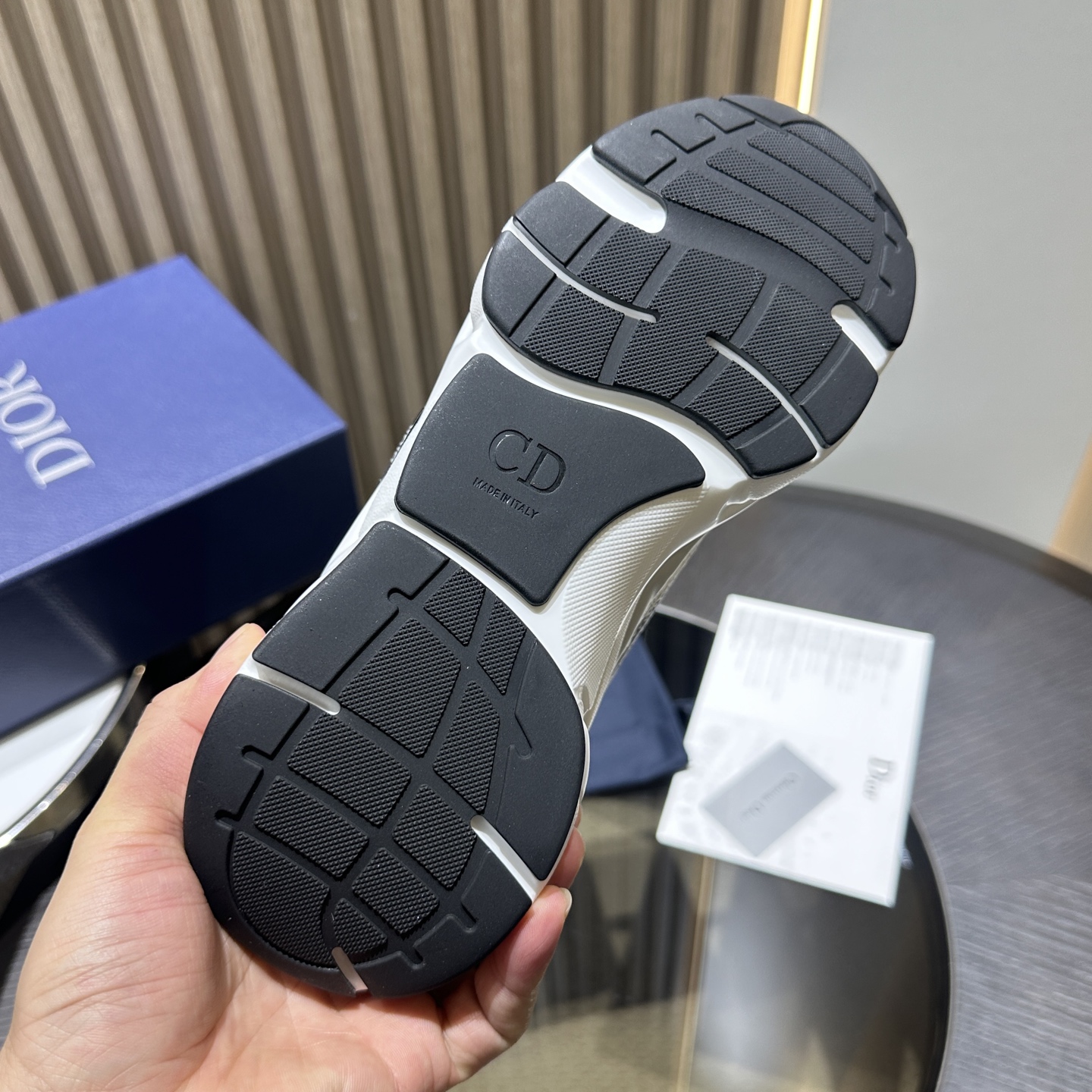 Dioorr B22 sneaker 03