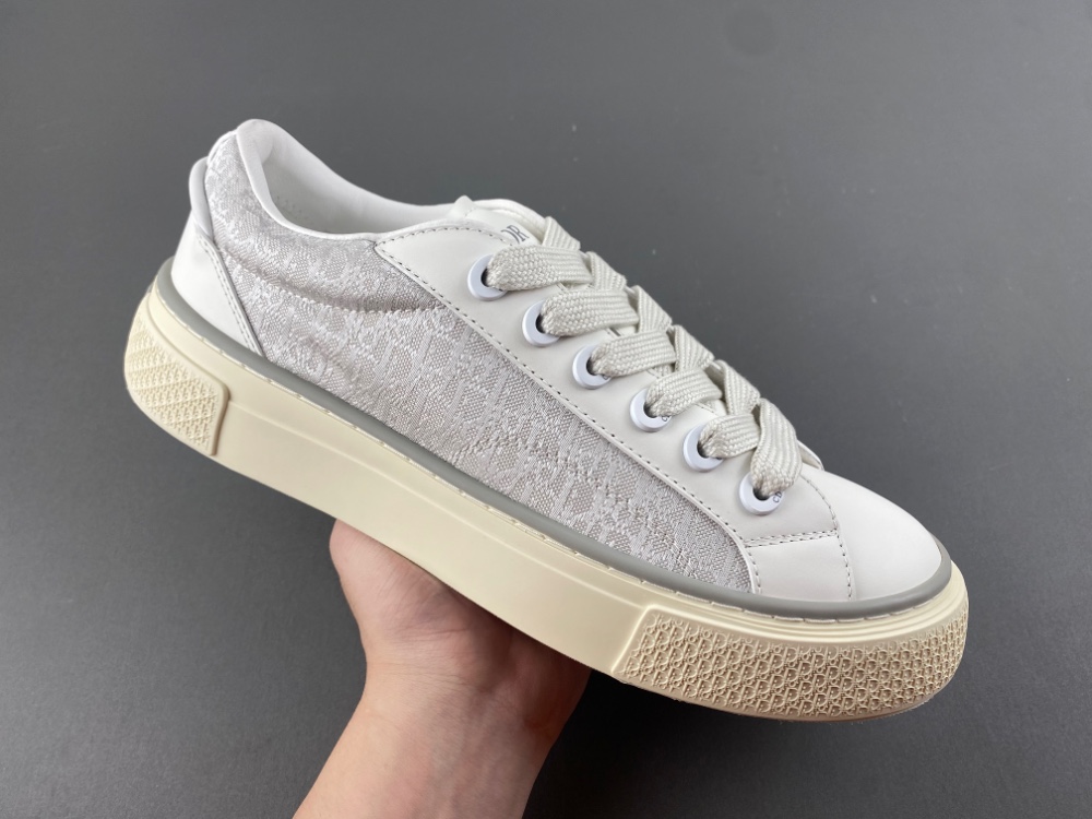 DIOR B27 Low Dior Oblique