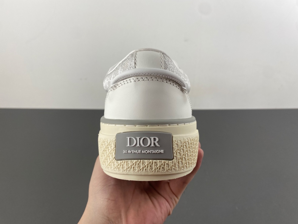 DIOR B27 Low Dior Oblique