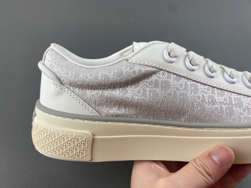 DIOR B27 Low Dior Oblique