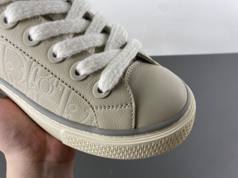 DIOR B27 Low Dior Oblique 02