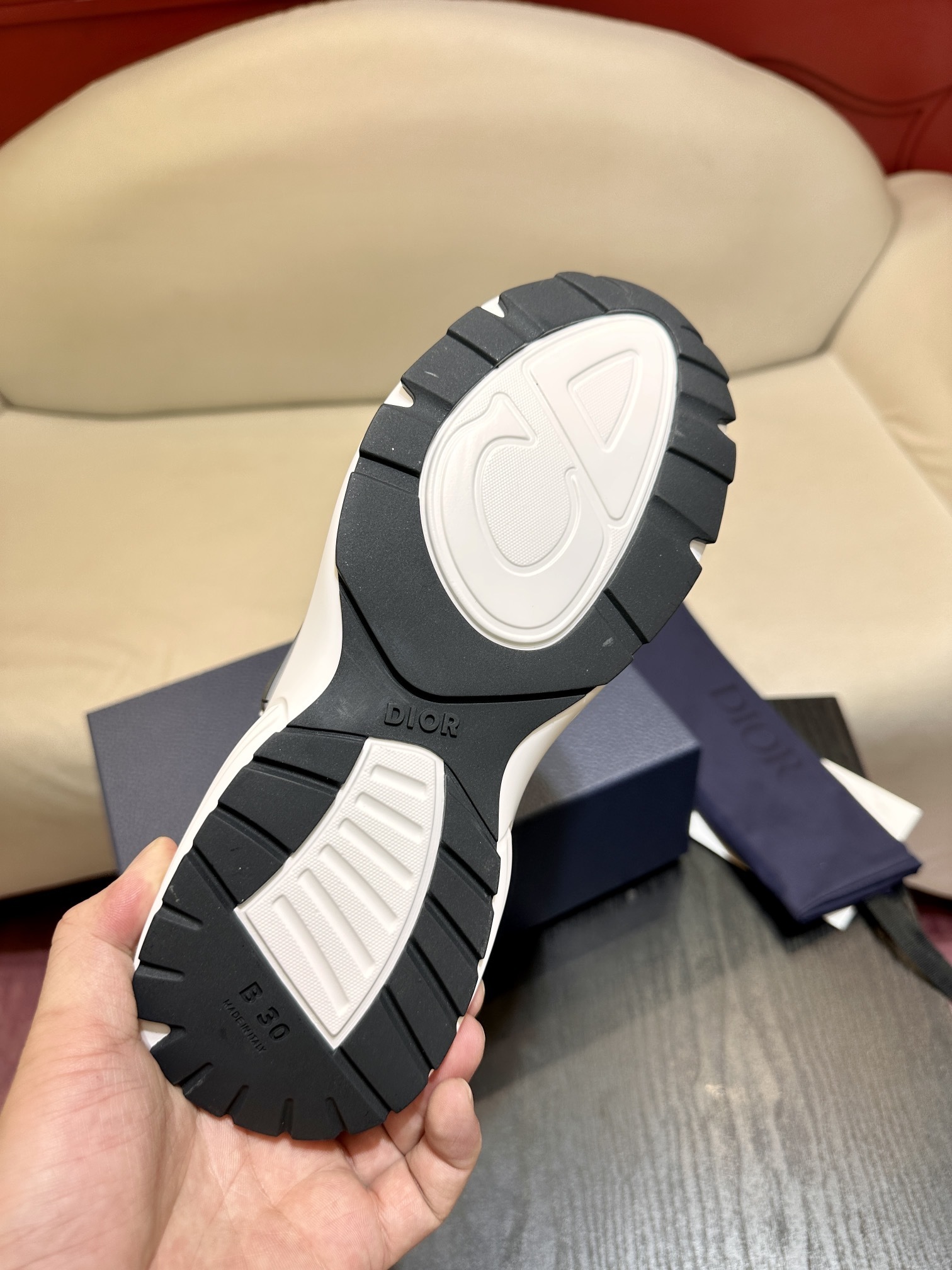 Dior B30 sneaker 02