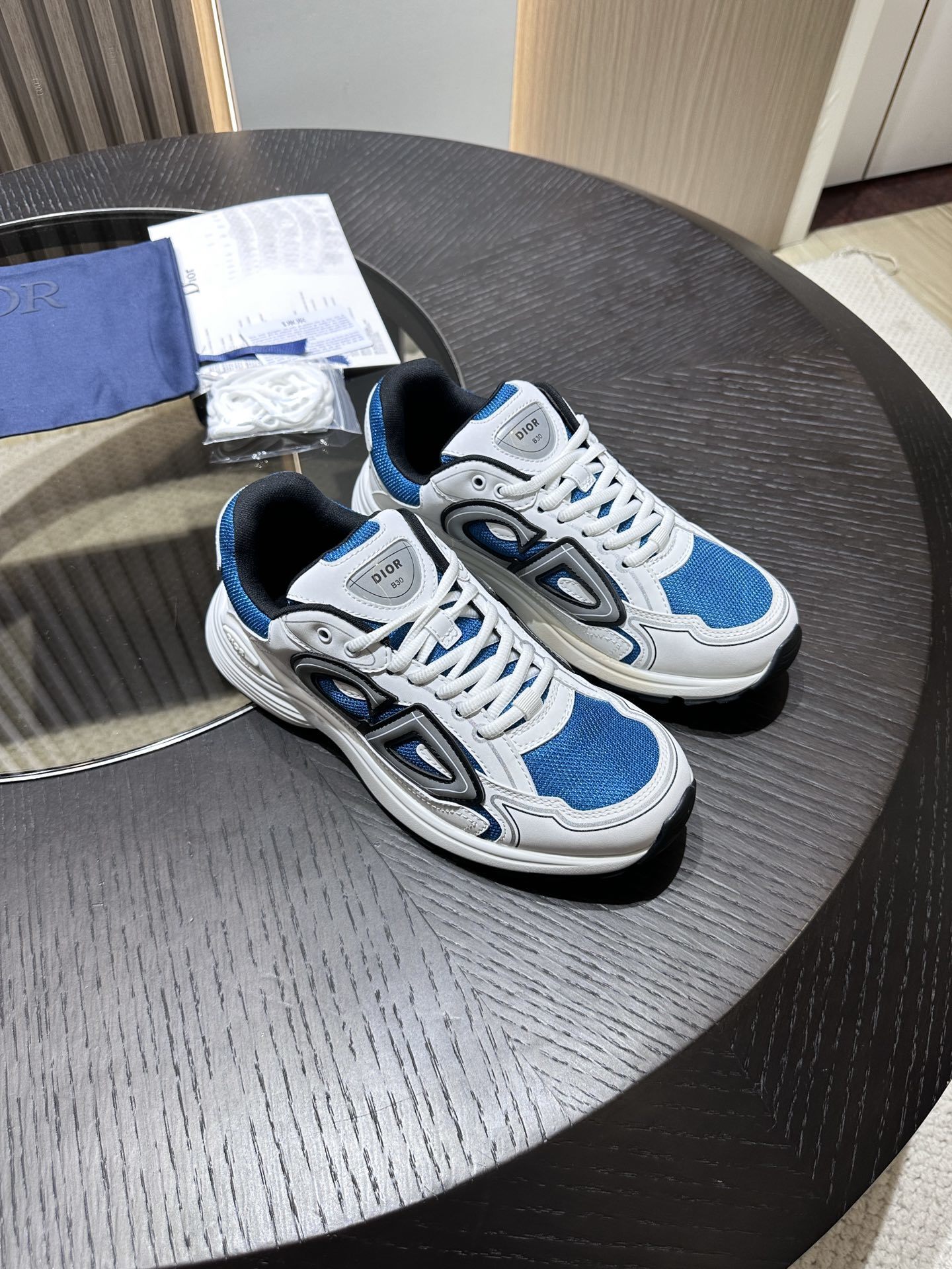 Dior B30 sneaker 06