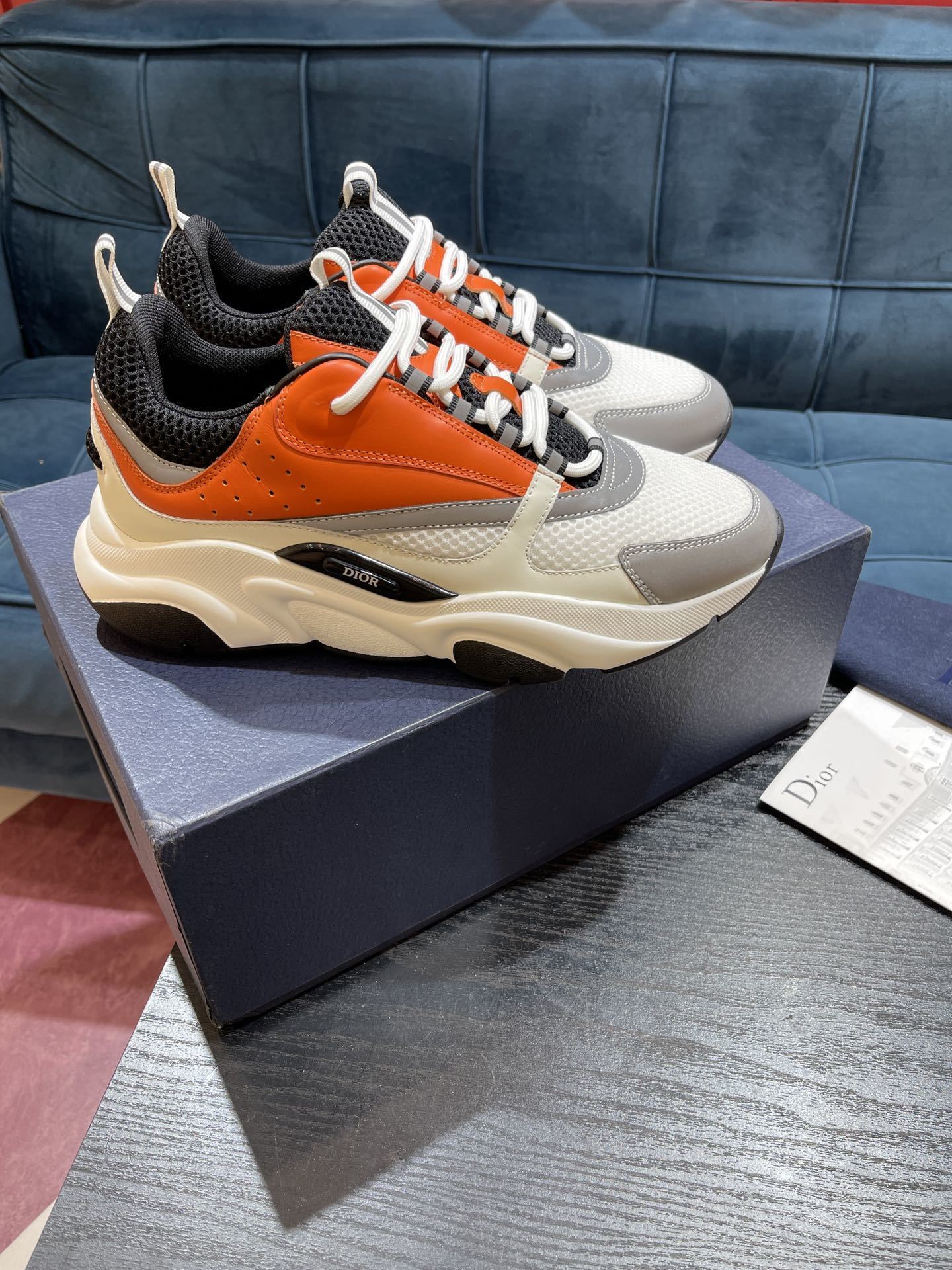 Dioorr B22 sneaker 10